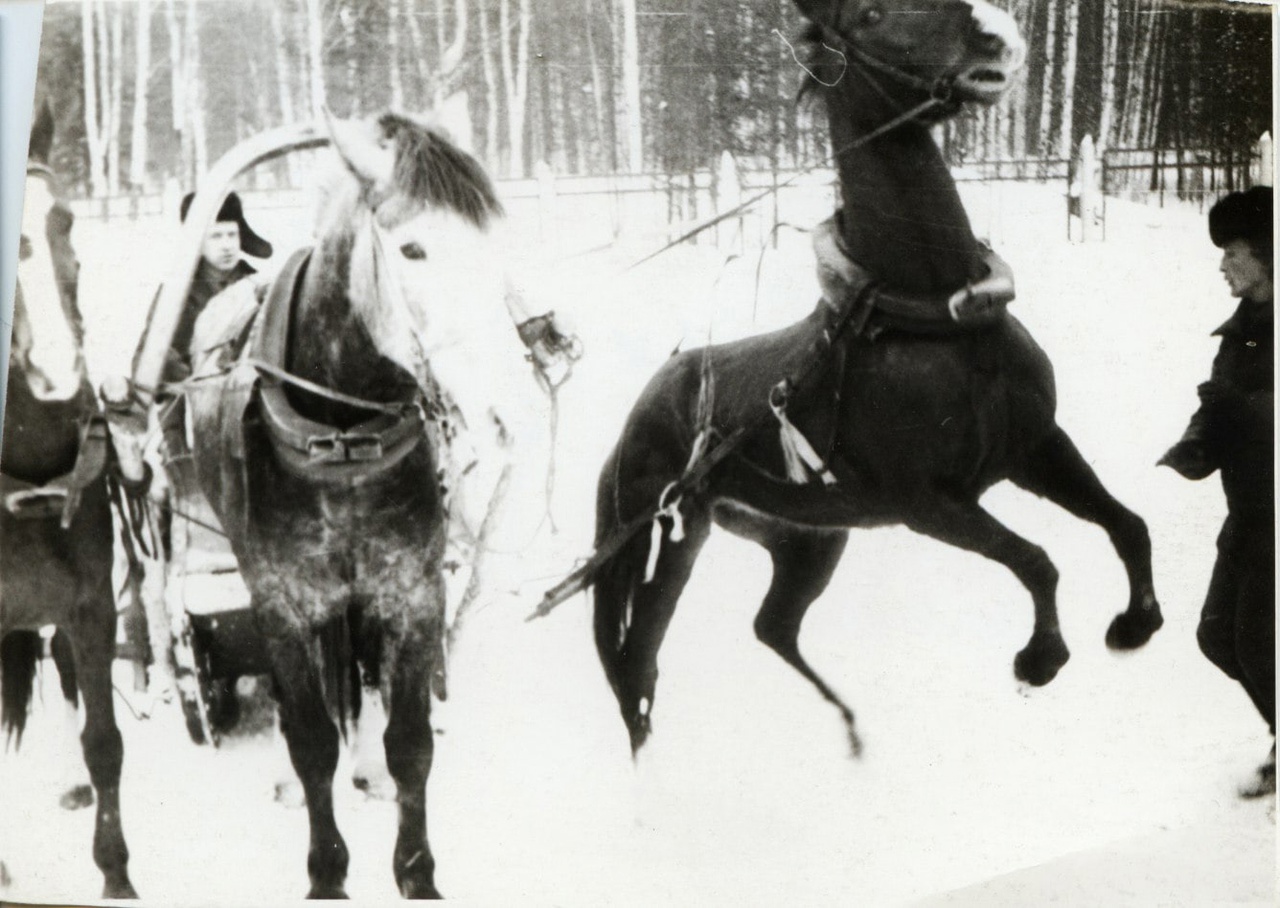 Фотоистория КСК ФАКТ выездка и конкур
